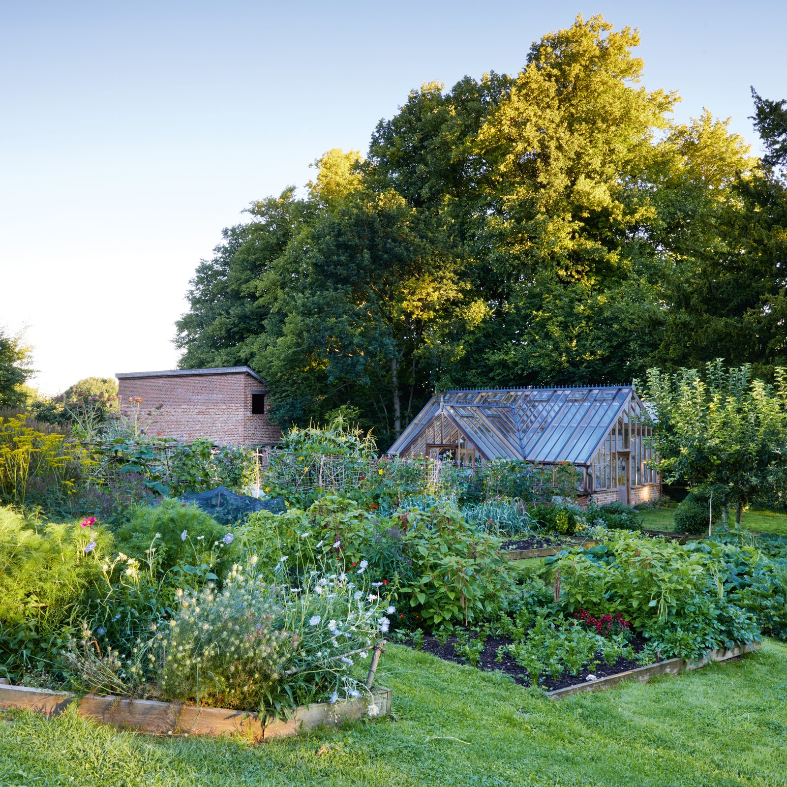 Sophie Conran's rural idyll of a garden in Wiltshire